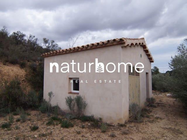 Finca/Casa Rural en venta en Móra la Nova, Tarragona