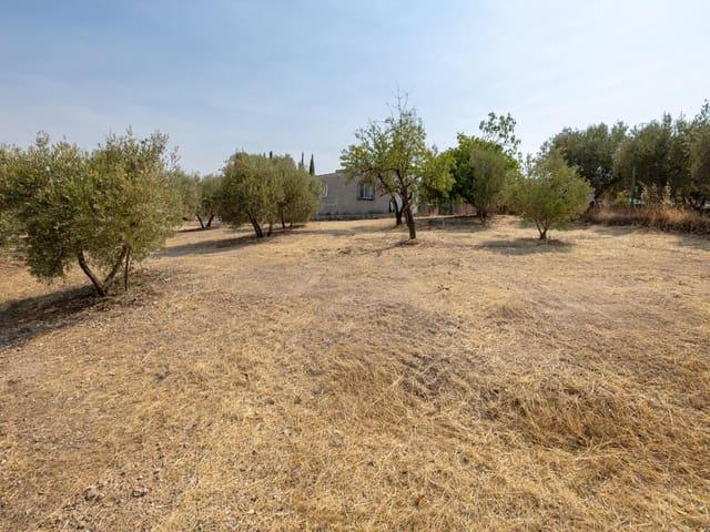 Finca/Casa Rural en venta en Moraleda de Zafayona, Granada