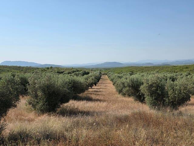 Finca/Casa Rural en venta en Moratalla, Murcia