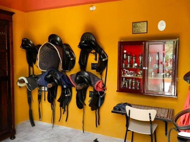Finca/Casa Rural en venta en Morón de la Frontera, Sevilla
