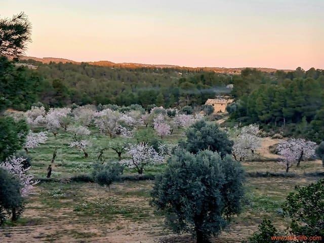 Finca/Casa Rural en venta en Mazaleón, Teruel