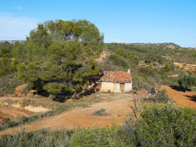 Finca/Casa Rural en venta en Maella, Zaragoza