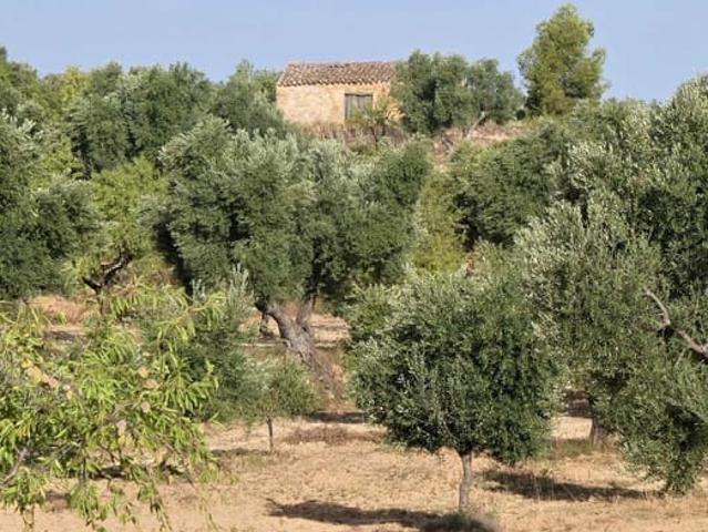 Finca/Casa Rural en venta en Maella, Zaragoza