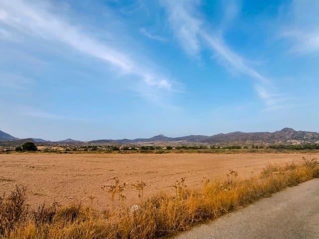 Finca/Casa Rural en venta en Mahoya, Murcia