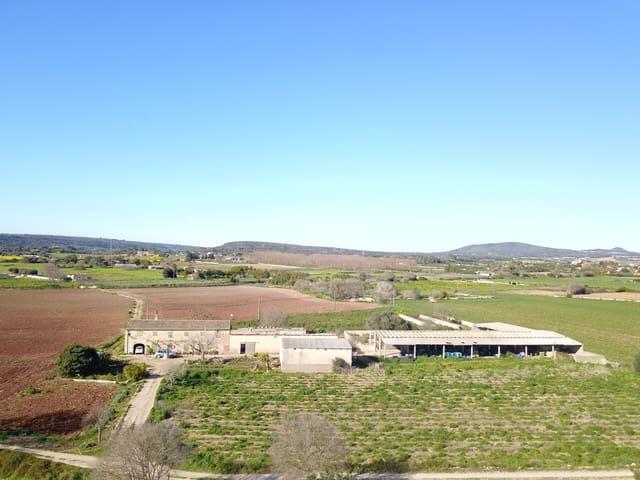 Finca/Casa Rural en venta en Manacor, Mallorca