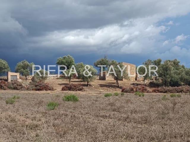 Finca/Casa Rural en venta en Manacor, Mallorca