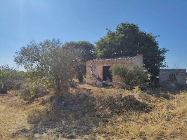 Finca/Casa Rural en venta en Manacor, Mallorca