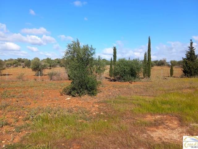 Finca/Casa Rural en venta en Manacor, Mallorca