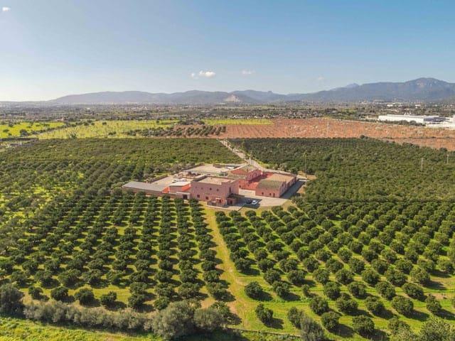 Finca/Casa Rural en venta en Marratxí, Mallorca