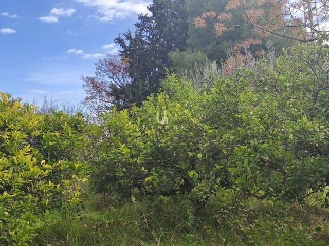 Finca/Casa Rural en venta en Murcia, Murcia