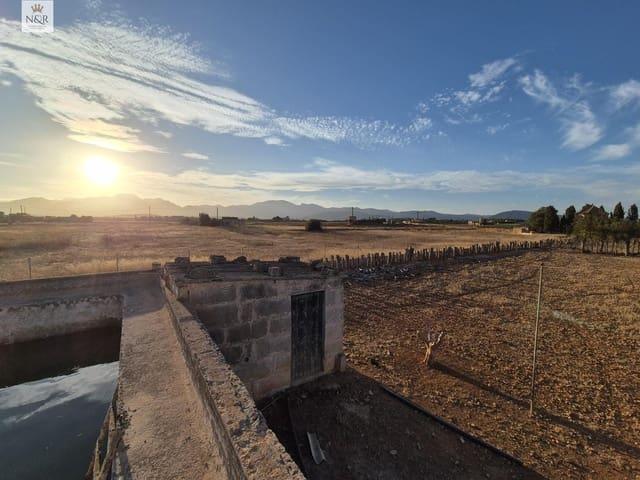 Finca/Casa Rural en venta en Muro, Mallorca