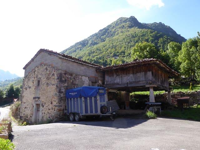 Finca/Casa Rural en venta en Somiedo, Asturias