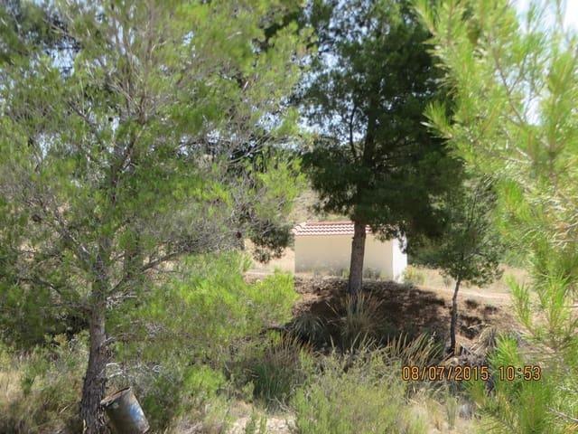 Finca/Casa Rural en venta en Sax, Alicante