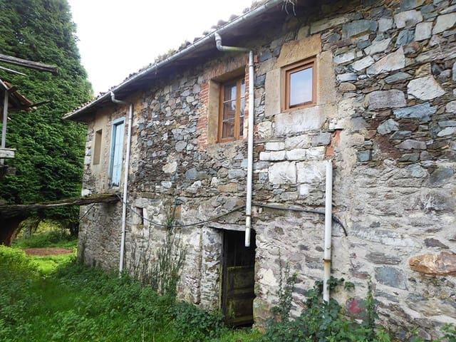 Finca/Casa Rural en venta en Salas, Asturias