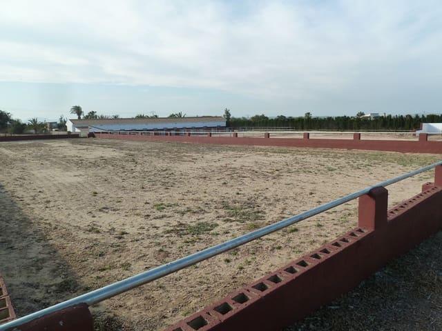 Finca/Casa Rural en venta en San Miguel de Salinas, Alicante Costa Blanca
