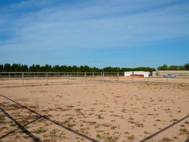 Terreno/Finca Rústica en venta en San Miguel de Salinas, Alicante Costa Blanca