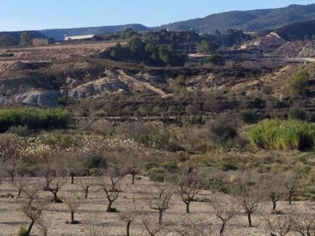 Finca/Casa Rural en venta en San Miguel de Salinas, Alicante Costa Blanca