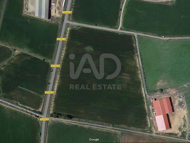 Finca/Casa Rural en venta en San Millán de los Caballeros, León