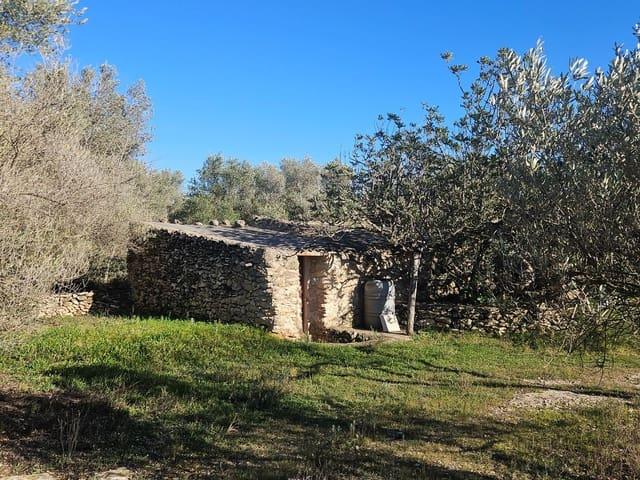 Finca/Casa Rural en venta en San Rafael del Rio / Sant Rafael del Riu, Castellón