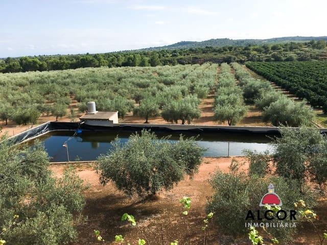 Finca/Casa Rural en venta en Sant Jordi, Castellón