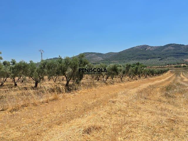 Finca/Casa Rural en venta en Sant Mateu, Castellón