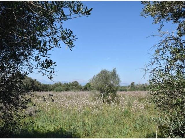 Finca/Casa Rural en venta en Santa Margalida, Mallorca