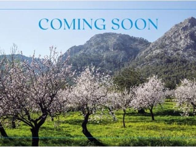 Finca/Casa Rural en venta en Sencelles, Mallorca