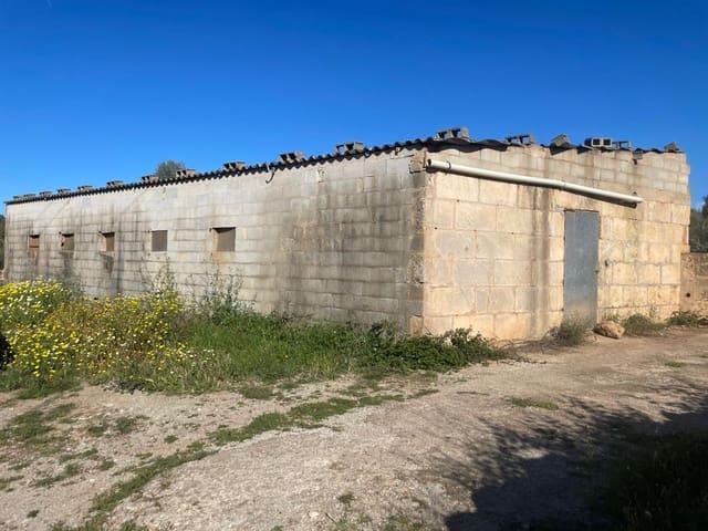 Finca/Casa Rural en venta en Sineu, Mallorca