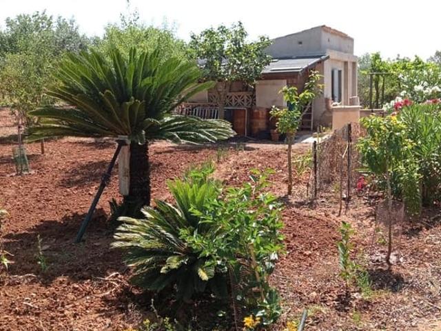 Finca/Casa Rural en venta en Porreres, Mallorca
