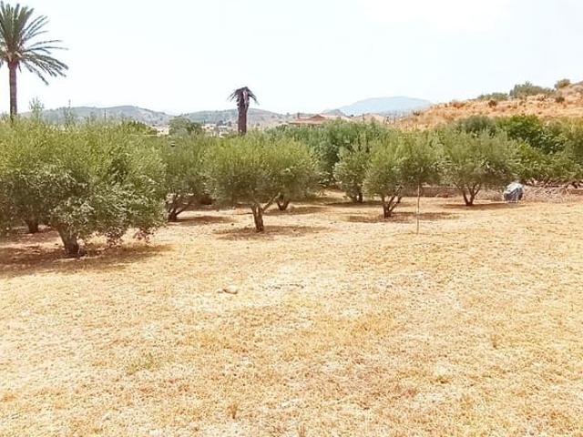 Finca/Casa Rural en venta en Perin, Murcia Costa Cálida