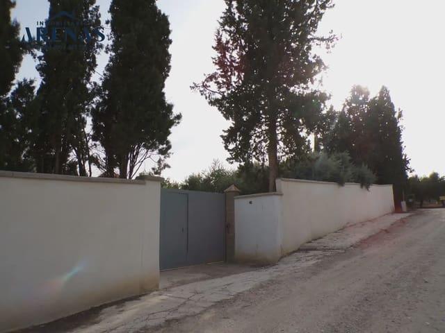 Finca/Casa Rural en venta en Pinos Puente, Granada