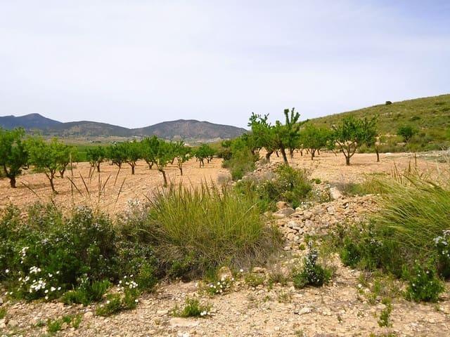 Finca/Casa Rural en venta en Pinoso, Alicante