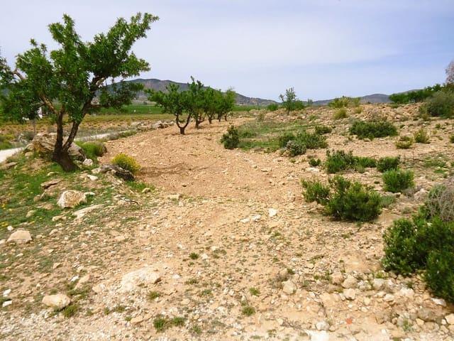 Finca/Casa Rural en venta en Pinoso, Alicante