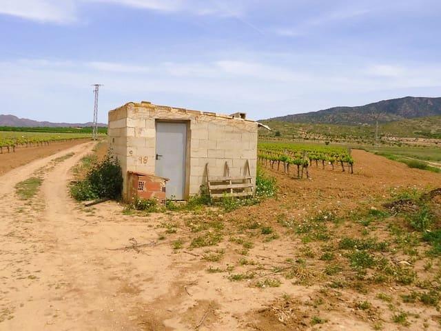 Finca/Casa Rural en venta en Pinoso, Alicante