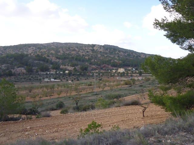 Finca/Casa Rural en venta en Pinoso, Alicante