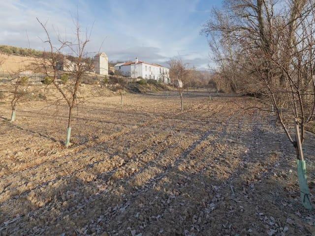 Finca/Casa Rural en venta en Píñar, Granada