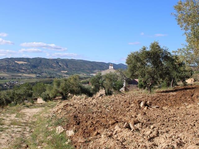 Finca/Casa Rural en venta en Ronda, Málaga