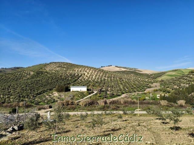 Finca/Casa Rural en venta en Ronda, Málaga