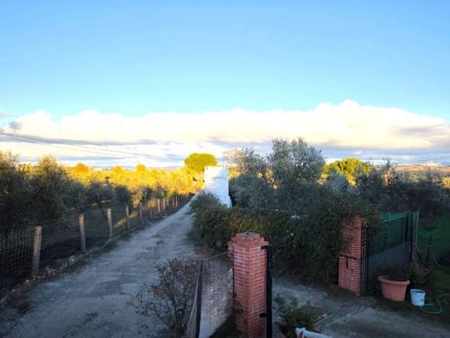 Finca/Casa Rural en venta en Ronda, Málaga