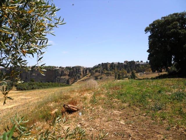 Finca/Casa Rural en venta en Ronda, Málaga