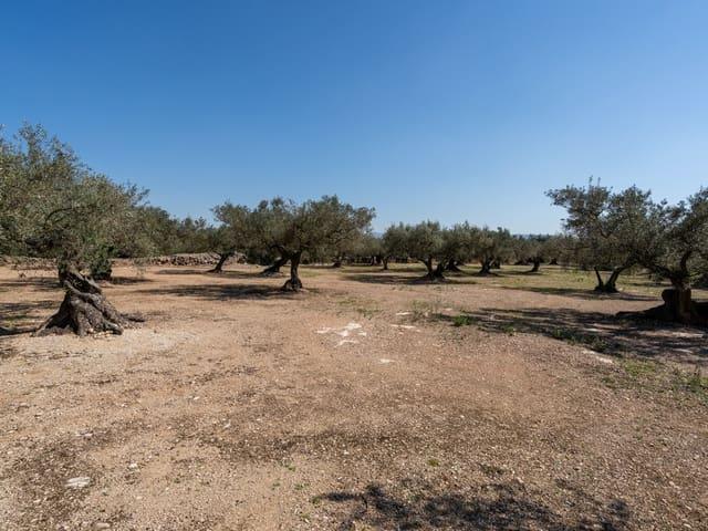 Finca/Casa Rural en venta en Roquetes, Tarragona