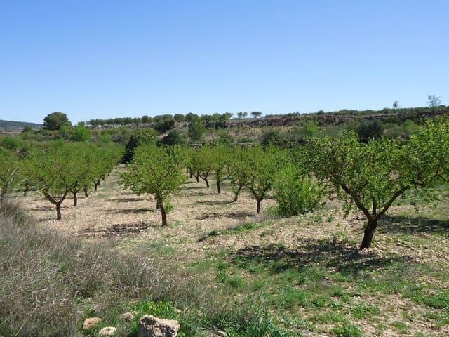 Finca/Casa Rural en venta en Raspay, Murcia