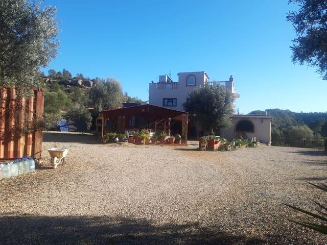 Finca/Casa Rural en venta en Riba roja d'Ebre, Tarragona