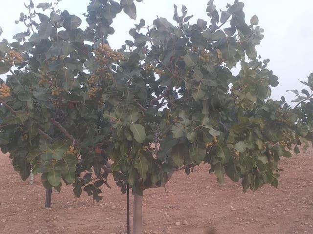 Finca/Casa Rural en venta en Toledo, Toledo