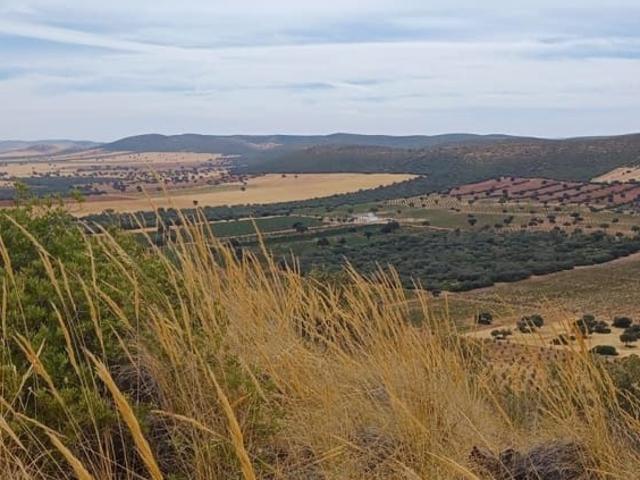 Finca/Casa Rural en venta en Toledo, Toledo