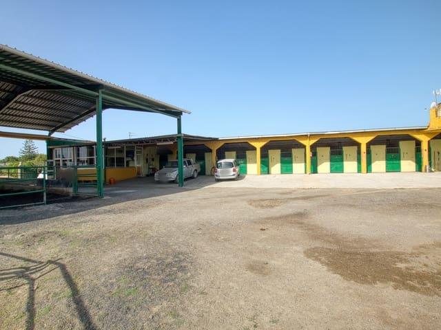 Finca/Casa Rural en venta en Vélez Málaga, Málaga Costa del Sol