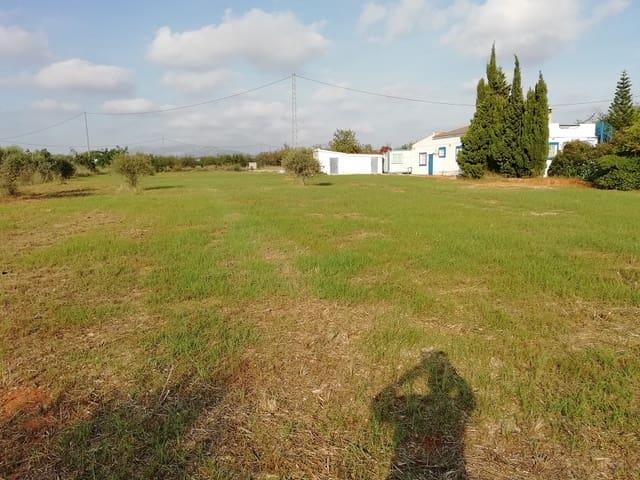 Finca/Casa Rural en venta en Torreblanca, Castellón Costa Azahar