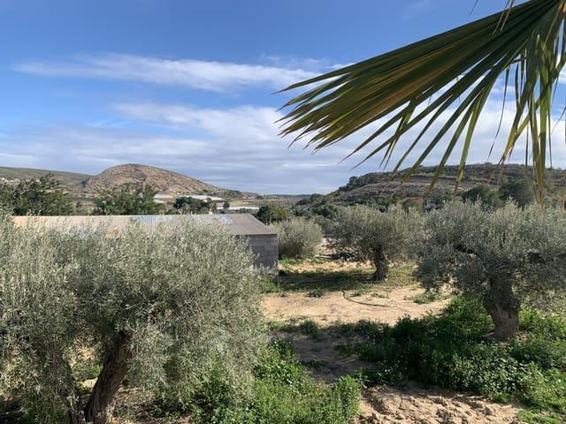 Finca/Casa Rural en venta en Torrellano, Alicante Costa Blanca
