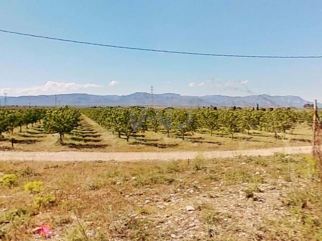 Finca/Casa Rural en venta en Tarragona, Tarragona Costa Dorada