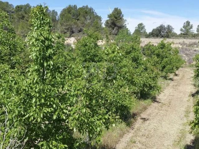 Finca/Casa Rural en venta en Gandesa, Tarragona
